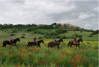Caminando entre amapolas 